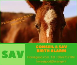 SAV BIRTH ALARM